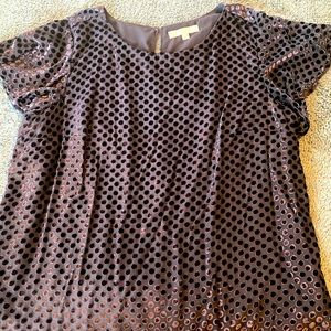 Velvet polka dot Loft top size 20